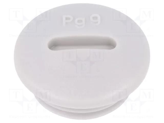 Stopper; PG9; IP54; polyamide; light grey; SKINDICHT®; 6mm LAPP LP-52024849