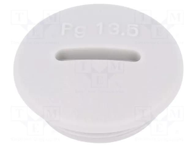 Stopper; PG13,5; IP54; polyamide; light grey; SKINDICHT®; 6mm LAPP LP-52024851