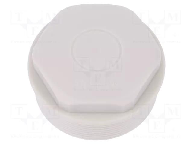 Stopper; M50; 1.5; IP54; polyamide; grey; SKINDICHT®; Thread: metric LAPP LP-52020563