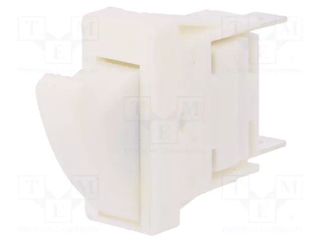 Switch: door; Pos: 2; SPST-NC; 0.3A/250VAC; Leads: connectors; 3000 BULGIN BG-C3005CBAAA