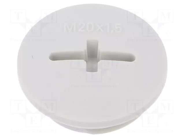 Stopper; M20; 1.5; IP68; polyamide; light grey; SKINDICHT®; 6mm LAPP BLK-GL-M20+O-R7035