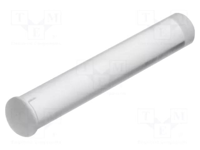 Fiber for LED; Ø3mm; L: 19mm; round; Front: convex; straight; PLP2 BIVAR PLP2-750