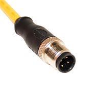 M12 CORDSET, 4-POSITION MALE STRAIGHT TO OPEN END, 22 AWG, 6M 68AK2087 C4A10M006