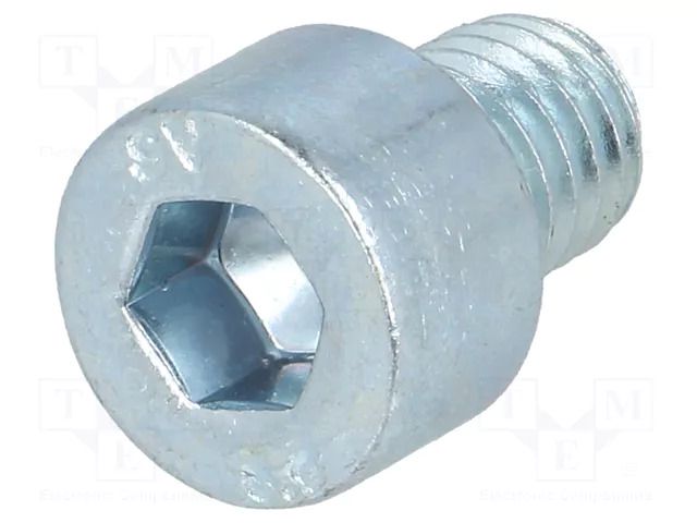 Screw; M8x10; 1.25; Head: cheese head; hex key; HEX 6mm; steel; zinc BOSSARD B8X10/BN3