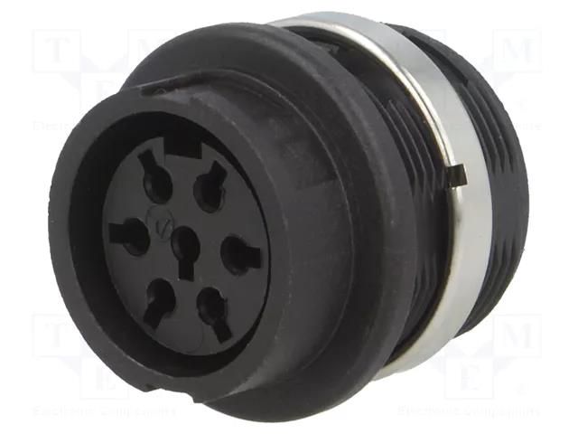 Connector: DIN; socket; female; w/o contacts; PIN: 7; Layout: 360° AMPHENOL C091-3437-050