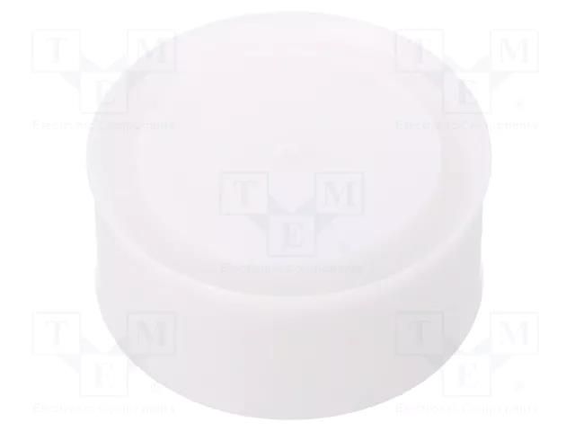 Plunger; for syringes; silicone free; polyetylene Techcon TCH-EA110WP-LD-NT