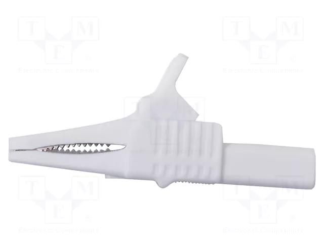 Crocodile clip; 30A; 1kV; white; Grip capac: max.19mm MUELLER ELECTRIC BU-65-9