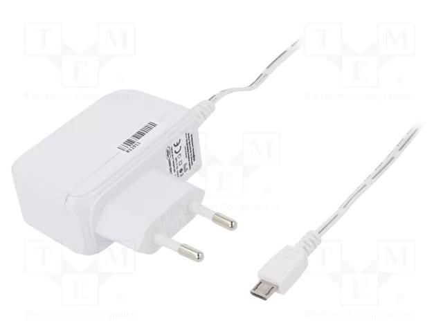 Power supply: switching; mains,plug-in; 5VDC; 2A; 10W; 79%; white CELLEVIA POWER CLW-1005-W2E-ERMUW