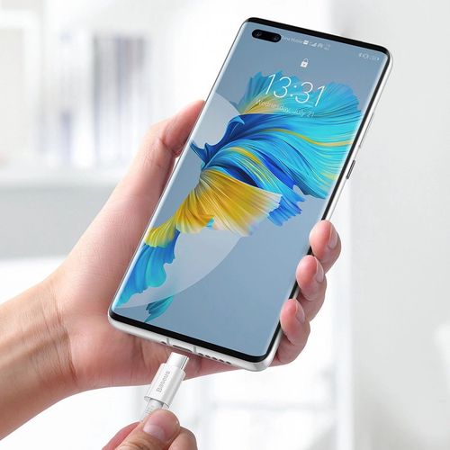 Baseus CATYS-C02 USB-C - USB-C PD QC FCP cable 100W 5A 2m - white, Baseus 6953156208469 6953156208469