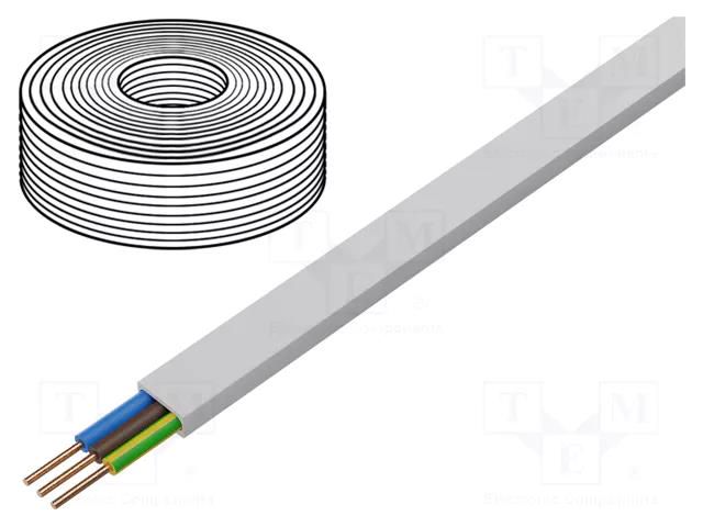 Wire; YDY; 3G4mm2; flat; wire; Cu; PVC; white; 450V,750V; 100m  YDYP3X4