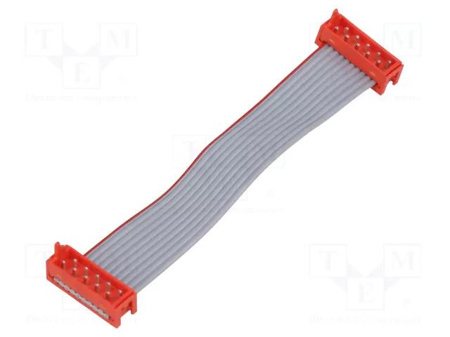 Ribbon cable with connectors; Tape ph: 1.27mm; Len: 0.075m; 2x5 TE Connectivity 2205063-1