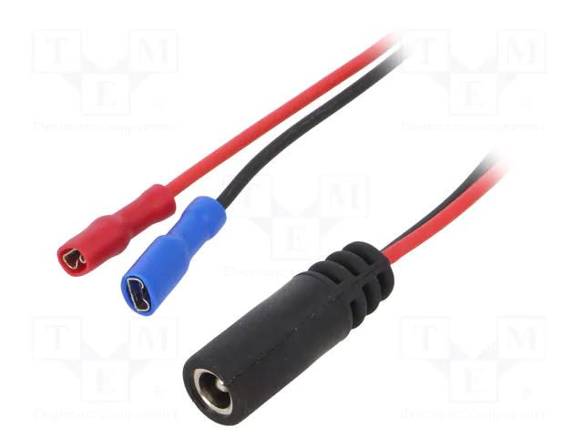 Transition: adapter; Out: 4,8mm connectors; Input: 5,5/2,5; 0.3m CELLEVIA POWER CABLE-2/CL