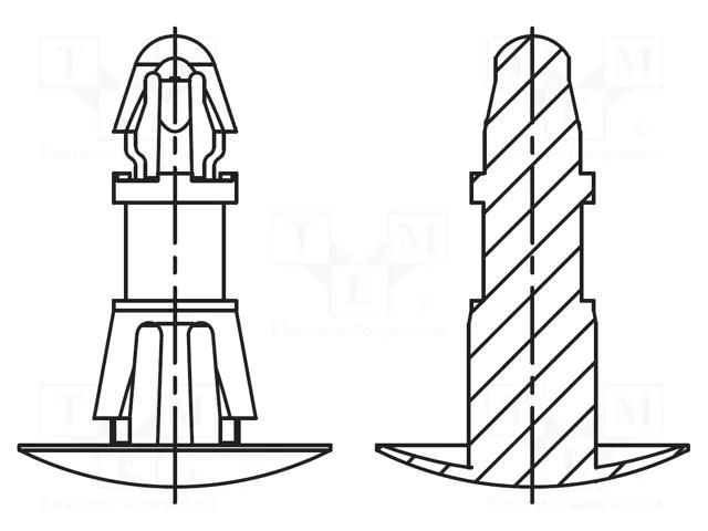 Assembly stud; polyamide 66; L: 8mm; latch/latch; natural; UL94V-2 DREMEC DR8G820V41225