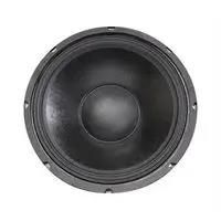 12" Woofer with Paper Cone and Cloth Surround - 175W RMS at 8 ohm 55-2952.