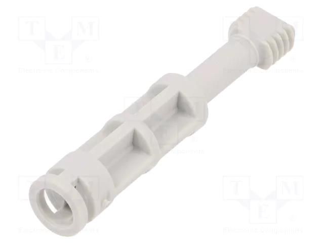 Screw; polyamide; for covers; light grey SPELSBERG TK-DS-LG/G