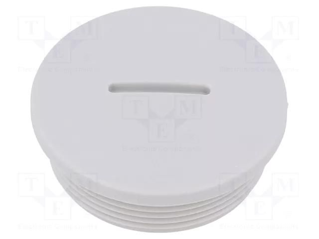 Stopper; M40; 1.5; IP54; polyamide; grey; V-N-FS; Thread: metric HUMMEL HUMMEL-1251400050