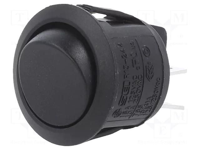 ROCKER; DPST; Pos: 2; ON-OFF; 10A/250VAC; none; R13-244-AC; 50mΩ SCI R13244A02B