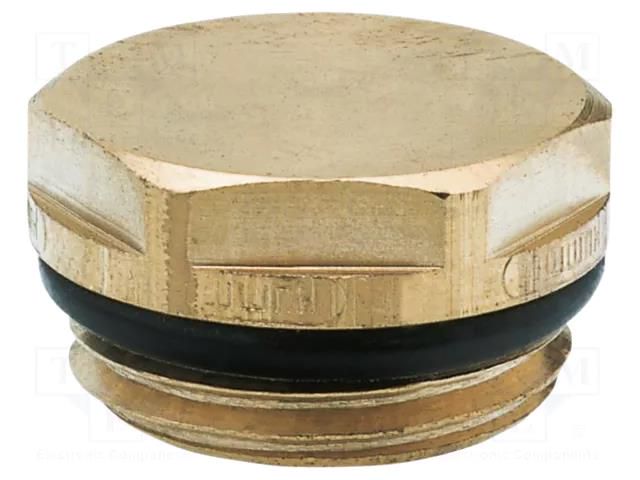 Hexagon head screw plug; with seal; brass; Ext.thread: G 1/2" HUMMEL HUMMEL-2506120000