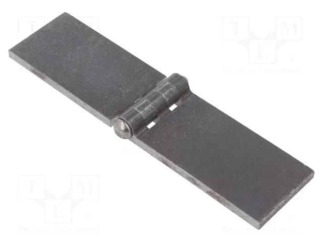 Hinge; Width: 160mm; steel; H: 40mm; without coating,for welding ELESA+GANTER GN1366ST160-40A-BL