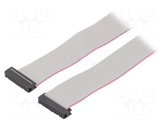 Ribbon cable with IDC connectors; Tape ph: 1.27mm; 0.6m CONNFLY DS1052-242B2NA2060