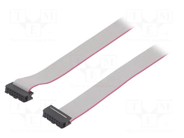 Ribbon cable with IDC connectors; Tape ph: 1.27mm; 0.6m CONNFLY DS1052-142B2NA2060