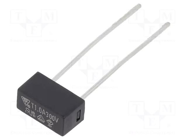 Fuse: fuse; 1A; 300VAC; time-lag; TE5; 883.300G ESKA 883317G