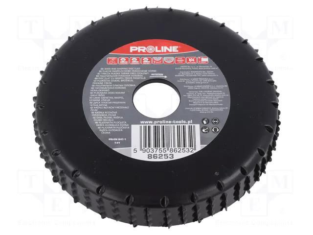 Grinding wheel; 120mm; flat,with rasp PROLINE PRE-86253