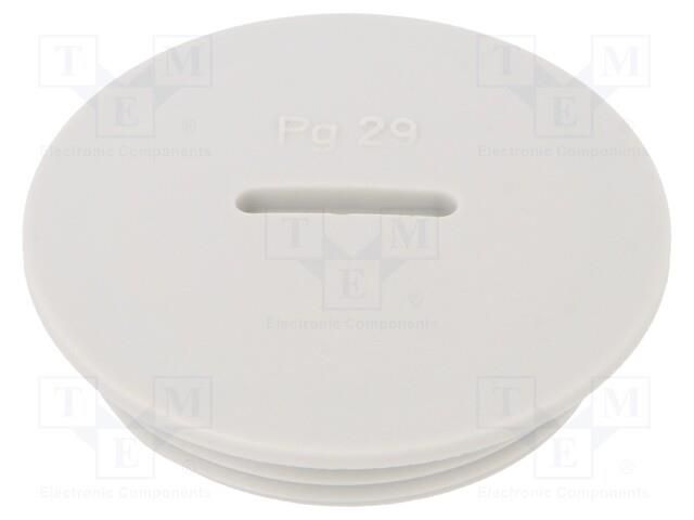 Stopper; PG29; IP54; polyamide; grey; V-N-FS; Thread: PG; 8mm HUMMEL HUMMEL-1251290011