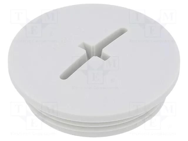 Stopper; M32; 1.5; IP56; polyamide; light grey; Thread: metric; 8mm BM GROUP BM4632