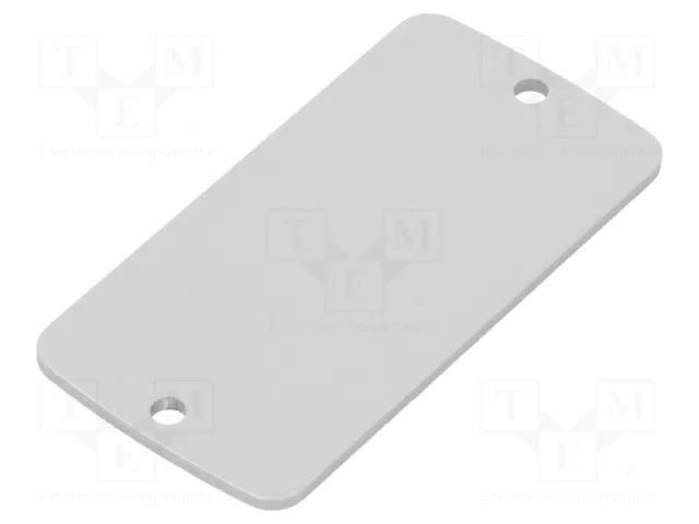 Front panel; aluminium; W: 30.8mm; L: 59.9mm; Thk: 2mm TEKO ALP1.1