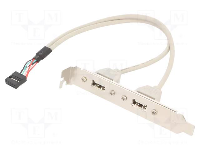 Adapter; USB A socket x2,10pin pin header; 0.25m; Cablexpert GEMBIRD CCUSBRECEPTACLE