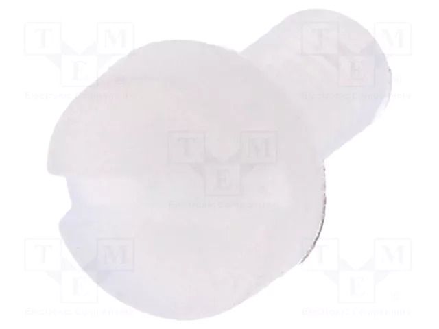 Screw; M3x6; 0.5; Head: cheese head; slotted; 0.9mm; polyamide DREMEC DR8G201M3X6