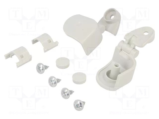 Hinge; 2pcs; Thalassa TBP,Thalassa TBS SCHNEIDER ELECTRIC NSYAEDH20TB