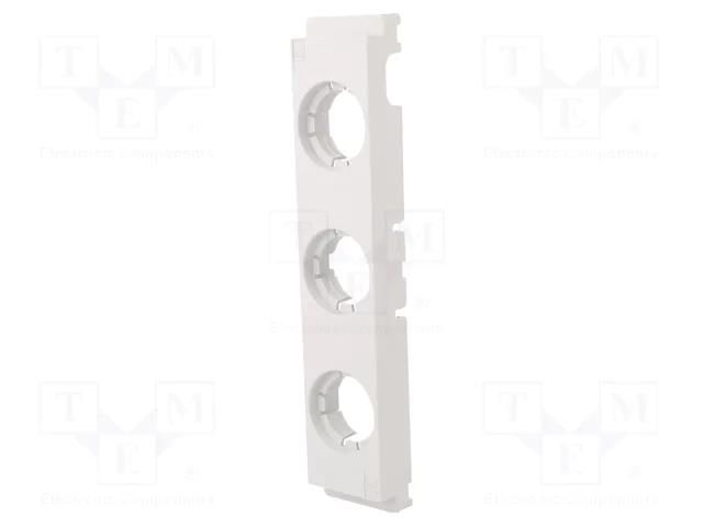 Cover; DII; 10pcs. RITTAL RITTAL-3427020