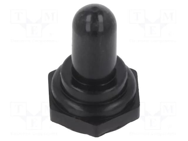 Accessories: Cap SWITCH COMPONENTS WT2