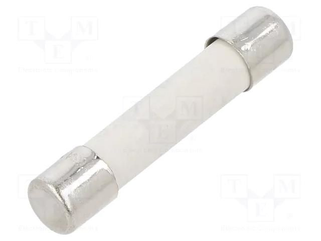 Fuse: fuse; 10A; 250VAC; time-lag; ceramic,cylindrical; GSA; brass BEL FUSE GSA-10-R