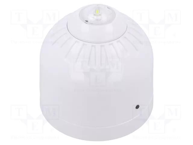 Signaller: lighting; flashing light; white; Sonos Pulse; 17÷60VDC KLAXON SIGNALS ESB-5006