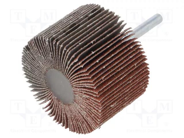 Grinding pin; Granularity: 60; Mounting: rod 6mm; flap,with lever PG PROFESSIONAL PG-RG.027
