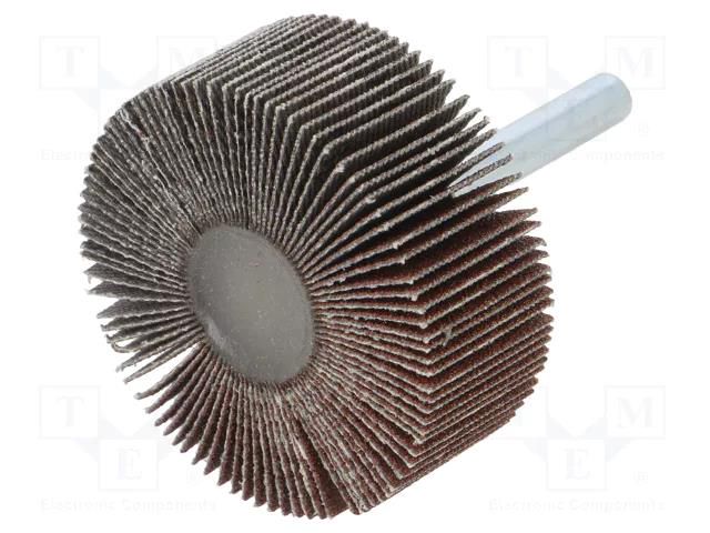 Grinding pin; Granularity: 120; Mounting: rod 6mm; Ø50x20mm PG PROFESSIONAL PG-RG.089