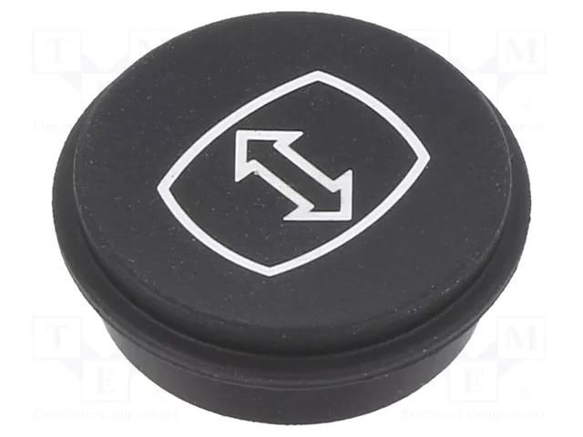 Button; round; Ø21mm; black; 09 EAO 09-0S12.2025