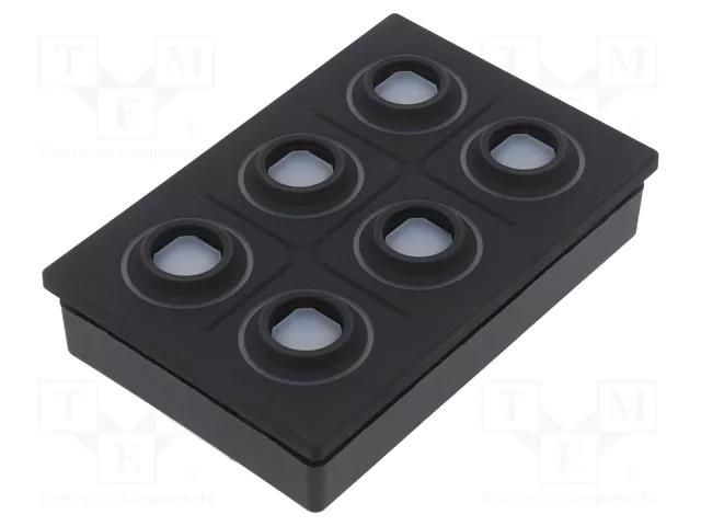 Keypad: plastic; LED; Rcont max: 10000mΩ; 6.5N; -40÷85°C; 09 EAO 09-0075.3132