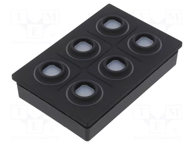 Keypad: plastic; LED; Rcont max: 10000mΩ; 6.5N; -40÷85°C; 09 EAO 09-0075.3132