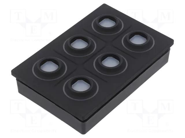 Keypad: plastic; LED; Rcont max: 10000mΩ; 6.5N; -40÷85°C; 09 EAO 09-0075.3142
