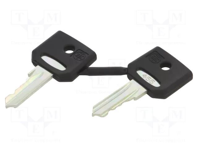 Key; 22mm; Harmony XB4; 2pcs. SCHNEIDER ELECTRIC ZBG455