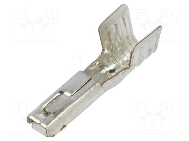 Female MOLEX MX-19434-0004