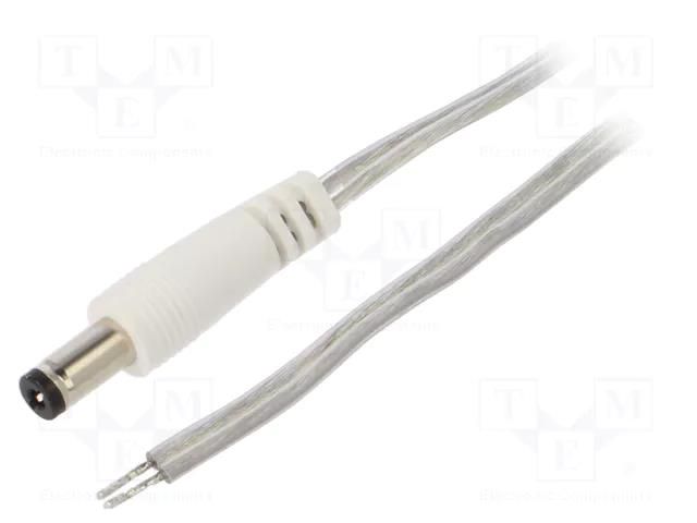 Cable; 2x0.5mm2; wires,DC 5,5/2,1 plug; straight; transparent; 5m BQ CABLE DC.CAB.8210.0500