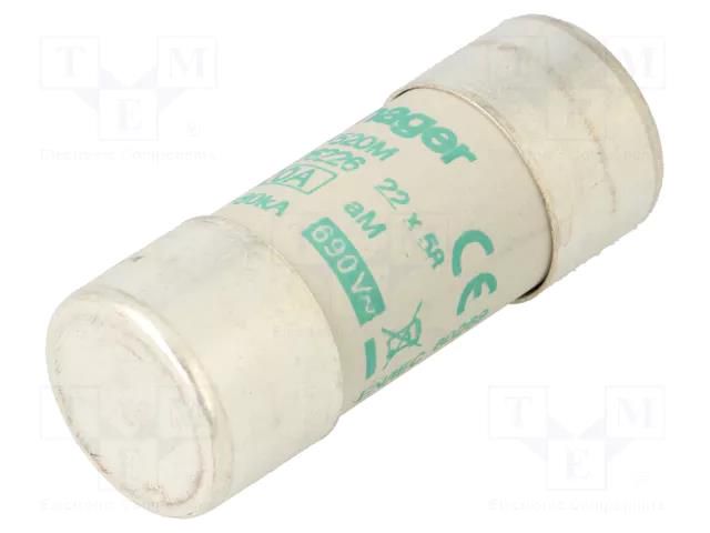 Fuse: fuse; 20A; 690VAC; aM; cylindrical,industrial; 22x58mm HAGER LF520M