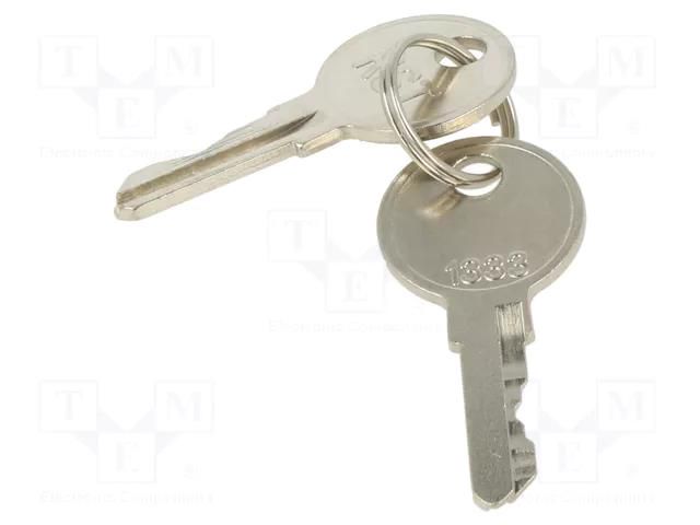 Key; Key code: 1333; 2pcs. ETI POLAM ETI-KEY-1333-SET