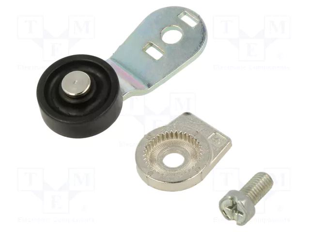 Driving head; lever R 40mm, plastic roller Ø20mm; FC/FD/FL/FP PIZZATO ELETTRICA VF-L31