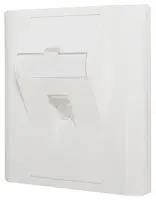 ANGLED KEYSTONE FACEPLATE, 1P, ABS, WHT KP45K1